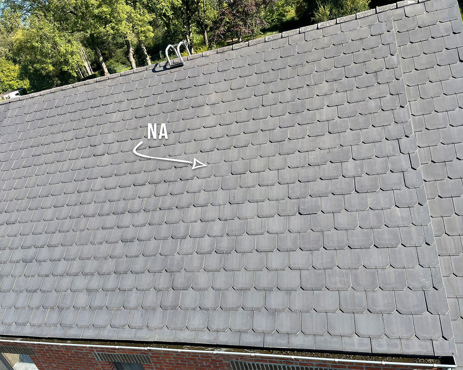 Dak Ontmossen Voor en Na